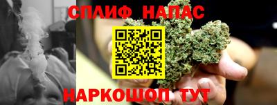 индика Мариинск